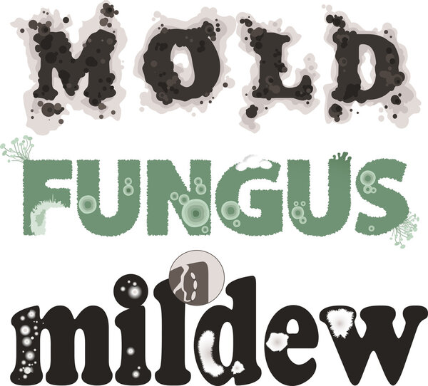 Mold, fungus and mildew