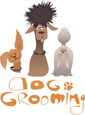 Köpek Bakım Servisi