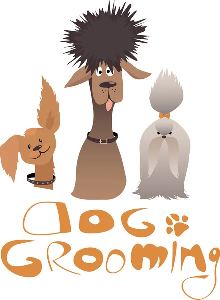 Hond grooming service — Stockvector