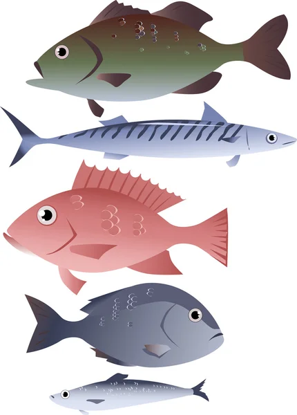 Assorted edible fish — Stock Vector