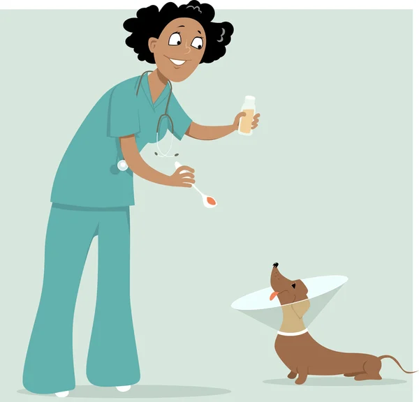 Médico veterinario en el trabajo — Vector de stock