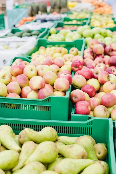 Süpermarkette meyveler, meyve gösterileri 