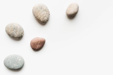Deniz çakıl taşları, beyaz arka planda deniz çakıl taşları