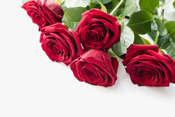 Beyaz arka planda kırmızı güller, bir buket kırmızı gül, 8 Mart 'a kadar çiçekler. 