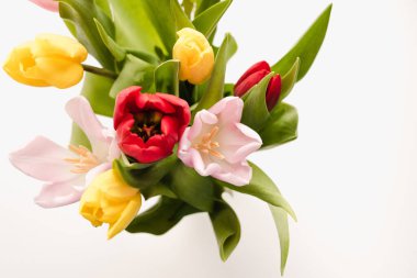 Beyaz arka planda çok renkli laleler, beyaz arka planda laleler, 8 Mart 'a kadar çiçekler. 