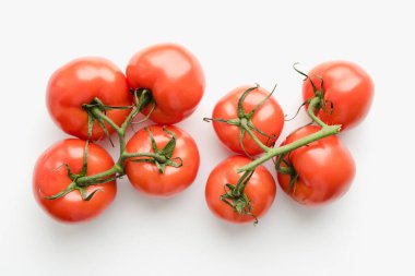 Beyaz arka planda domatesler, filizli domatesler.