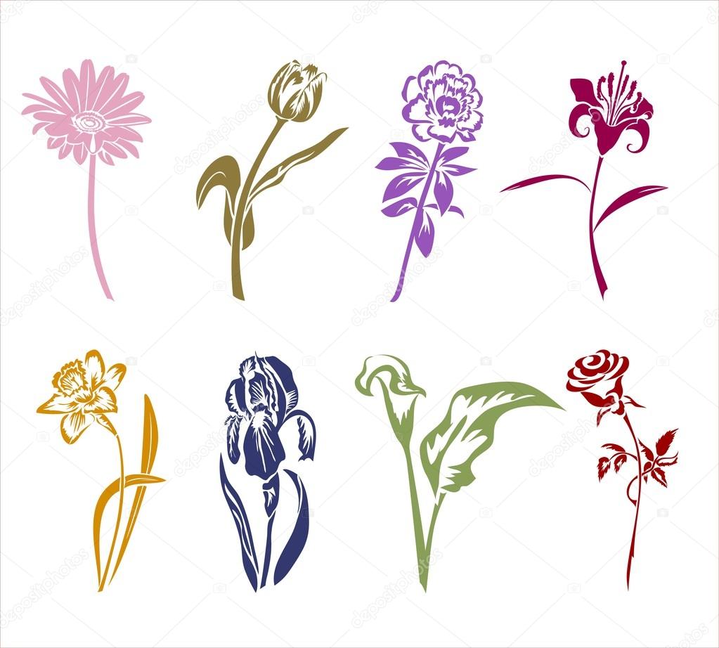 Eight Silhouettes Of Flowers Vector Image By C Alaska68 Vector Stock