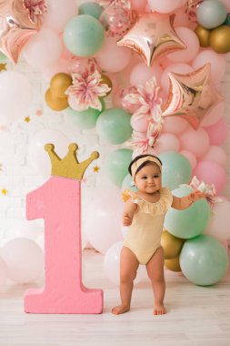 İlk doğum günü kızı pembe dekor