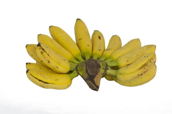 Bananenstrauß — Stockfoto