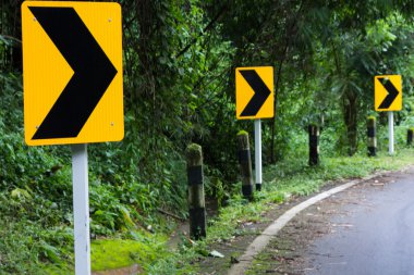 forrset yol