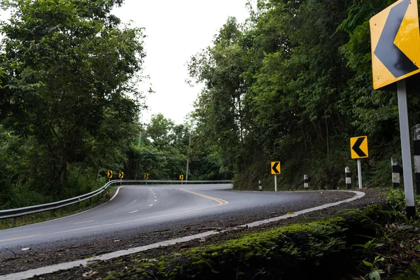 Strada in forrset — Foto Stock