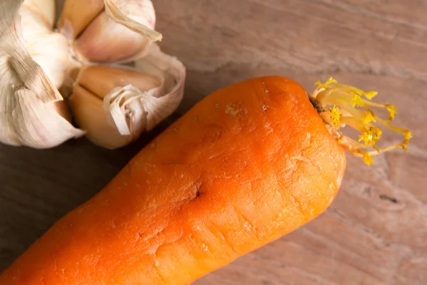 Old carrot — Stock Photo, Image