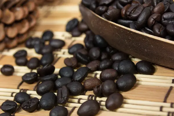 Coffee bean — Stock Photo, Image