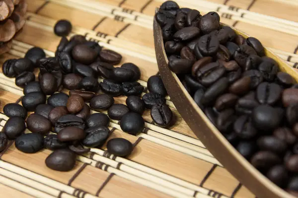 Coffee bean — Stock Photo, Image