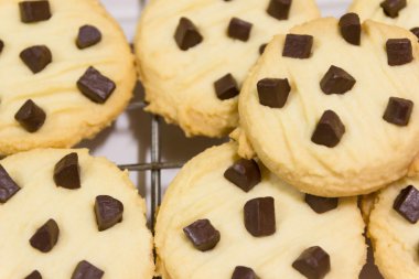 Çikolata parçacıklı kurabiye.