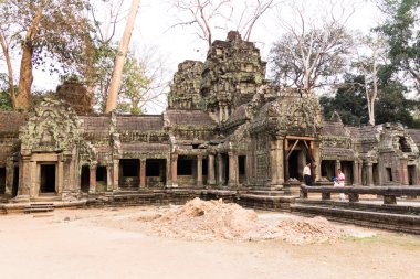  ta prohm Tapınağı