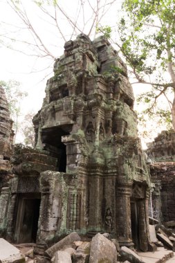 ta prohm Tapınağı