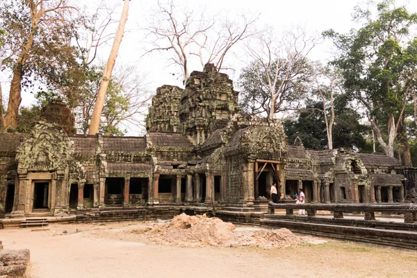 Ta prohm Tapınağı — Stok fotoğraf