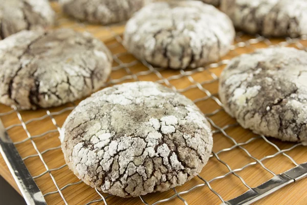 Bolinhos de chocolate — Fotografia de Stock