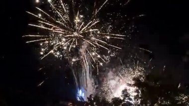 Havai fişekler gökyüzündeki şovu kutluyor