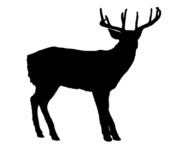 Deer silhouette — Stock Vector