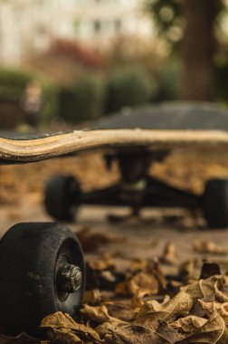 Sonbaharda parkta kaykay