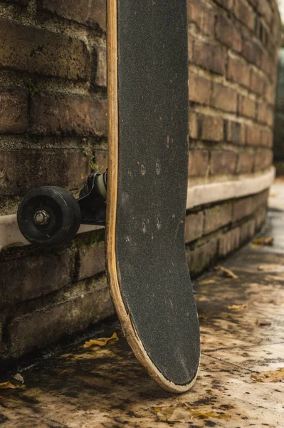 Skate Parque Outono — Fotografia de Stock