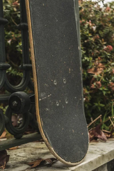 Sonbaharda parkta kaykay