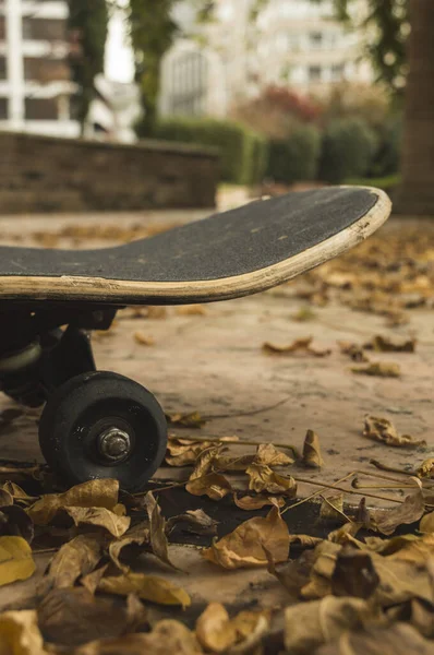 Skateboard Een Park Herfst — Stockfoto