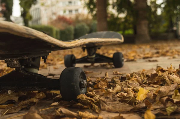 Skateboard Parku Podzim — Stock fotografie