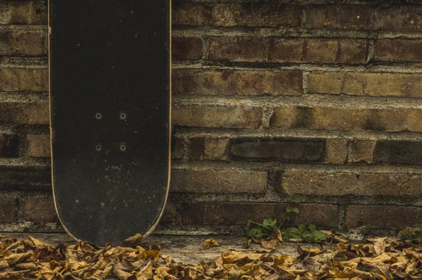 Skate Parque Outono — Fotografia de Stock