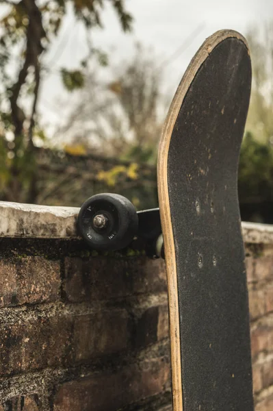 Sonbaharda parkta kaykay