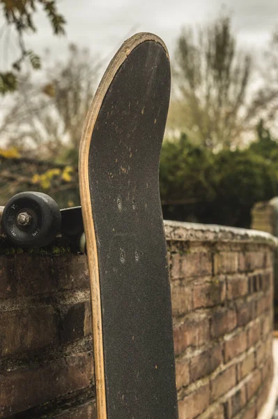 Skate Parque Outono — Fotografia de Stock