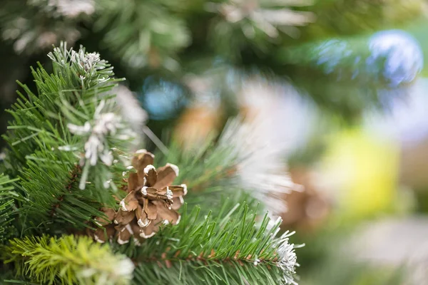 Süslü bir Noel ağacının karlı dalında fidan konisi. Noel 'i kutluyoruz. Fotokopi alanı olan tasarımcı boş. Makro fotoğrafçılık.