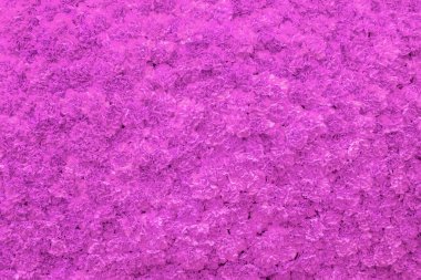 Birçok pembe karanfil çiçeğinin bulanık arkaplanı.