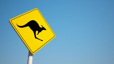 Kanguru işareti kırpma pat ile