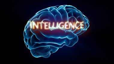 Intelligence Xray Brain clipart