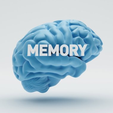 Memory Brain 