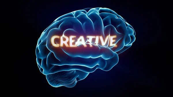 Cerebro creativo de rayos X — Foto de Stock