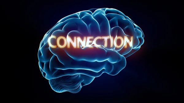 Connection Xray Brain — Stock Photo, Image