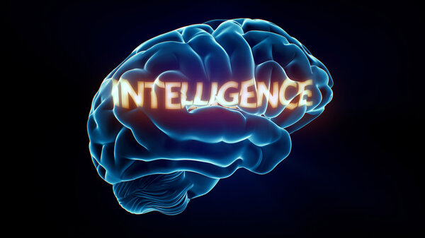 Intelligence Xray Brain
