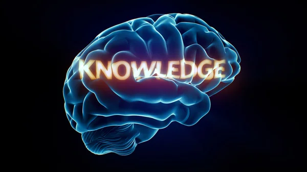 Bilgi xray beyin — Stok fotoğraf