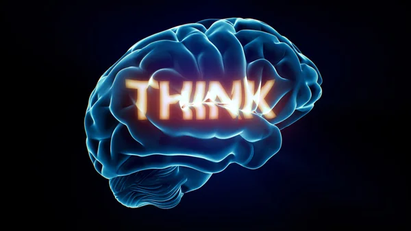 Denk xray hersenen — Stockfoto