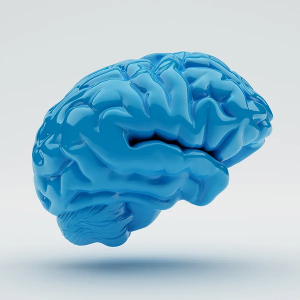 Hersenen — Stockfoto
