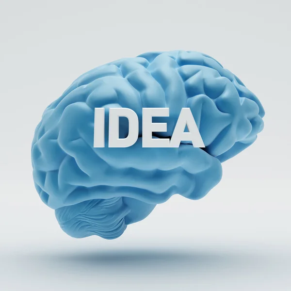Idea Cervello — Foto Stock