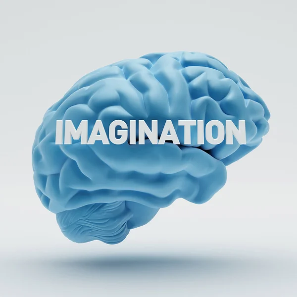 상상력 두뇌 — 스톡 사진