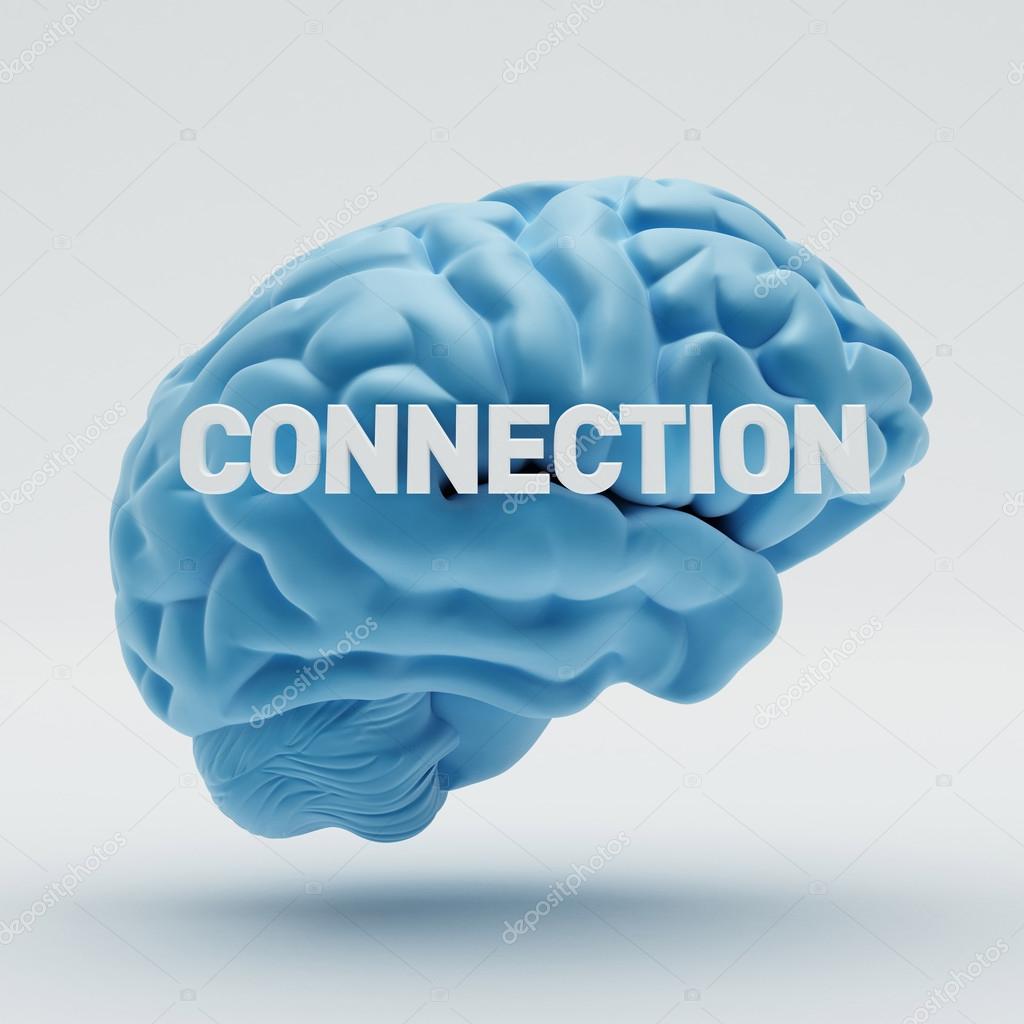 ConnectionBrain 