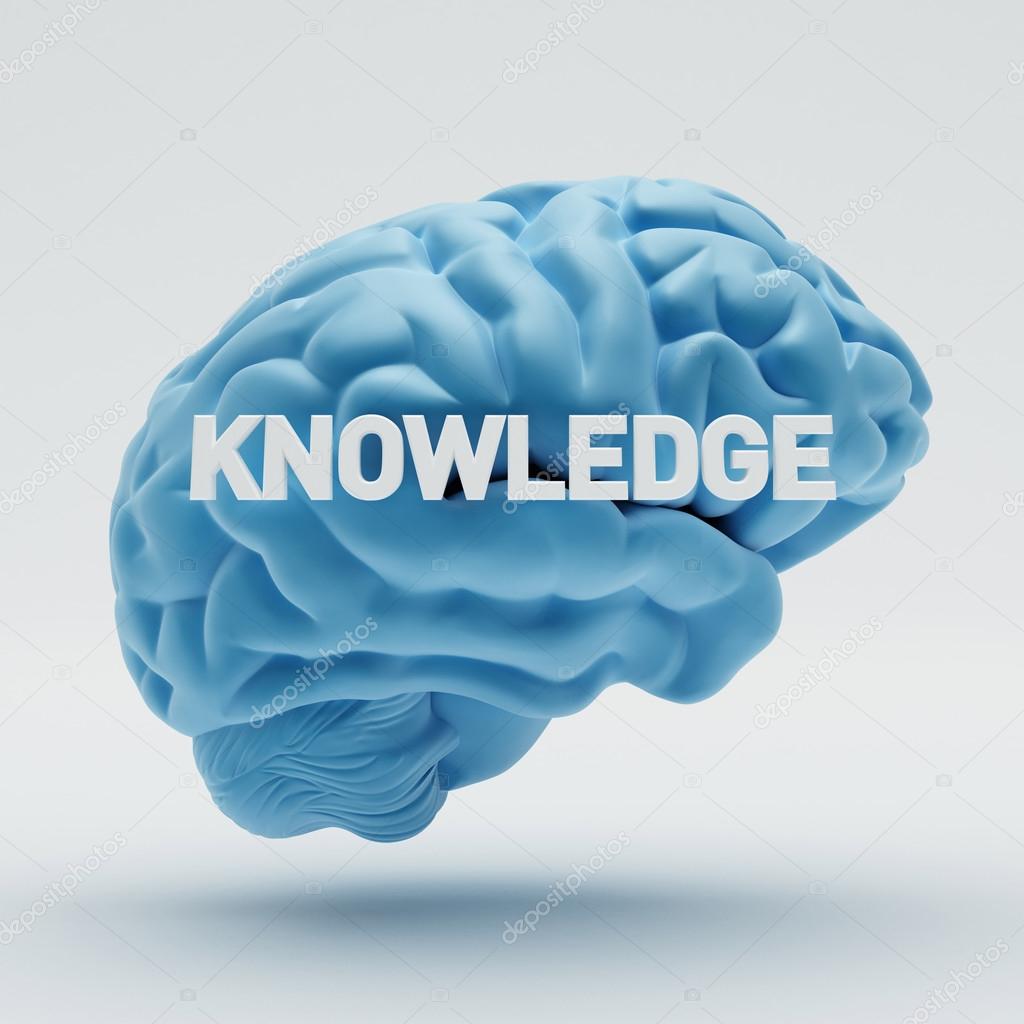 Knowledge Brain 