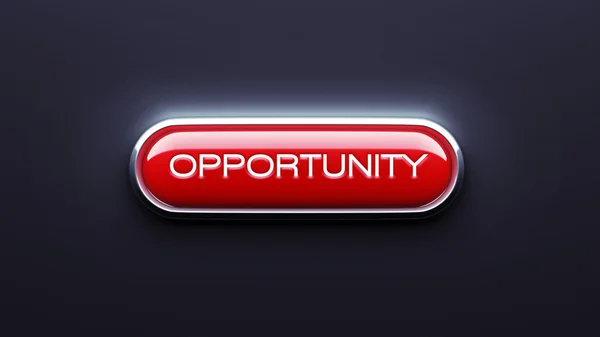 Opportunity Button — Stock Photo, Image