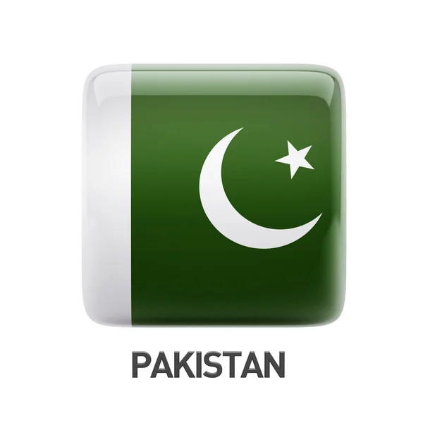 巴基斯坦国旗图标 — 图库照片